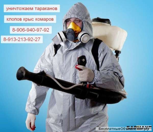 Тараканы клопы барнаул