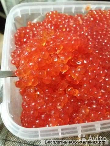 Икра кетовую оптом и в розницу