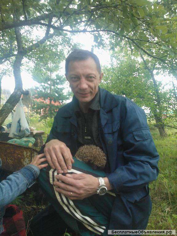 Быстро качественно