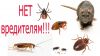 Уничтожение Тараканов и Клопов
