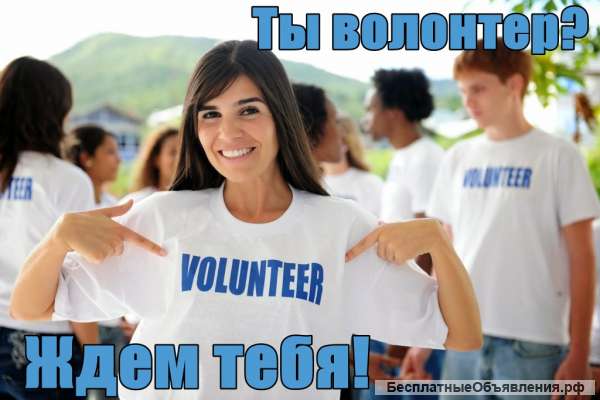 Копирайтер волонтер