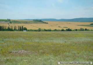 Земельный участок 480 Га