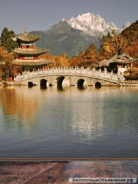 Можем сделать евро. Тольятти.