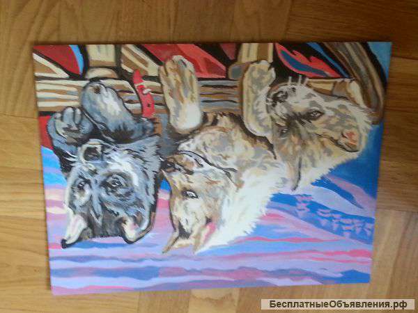 Картины 30 на 38