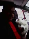 Дам практические занятия Вождения Авто