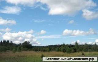 Земельный участок 15 соток в дер. Тишино