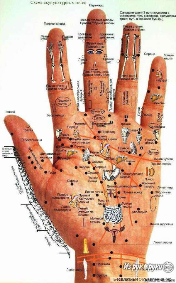 Диагностика всего организма