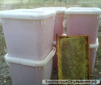 Башкирский Мёд Оптом