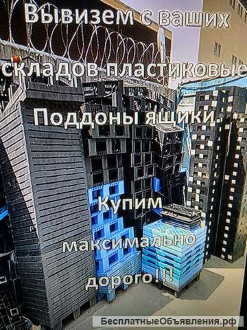 Вывезем с ваших складов Пластиковые поддоны