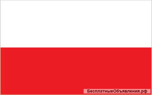 Польский язык по SKYPE