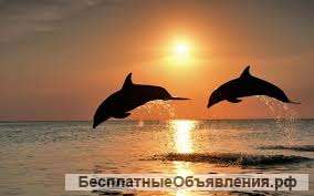 Романтическая спа-программа "Эдем для двоих"
