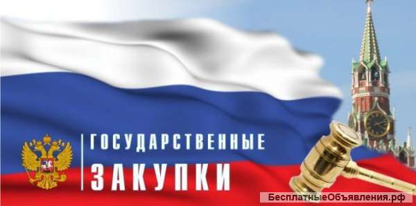 Тендеры, аукционы, госзакупки