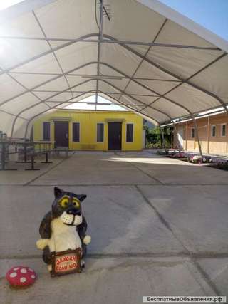 Дом у Черного моря