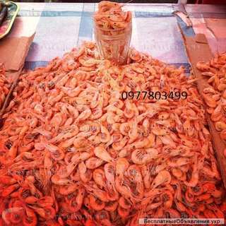 Азовская, черноморская креветка оптом