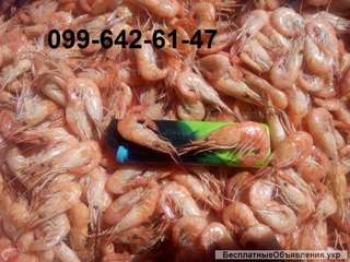 Креветка оптом купить новый улов