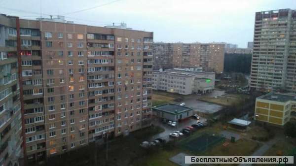 2х. кв.кор. 1557.