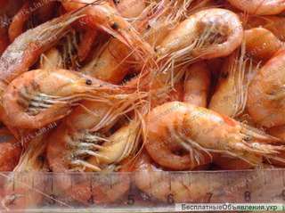Крупный опт по креветке азовской и черноморской