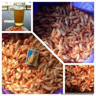 Живые крабы, вареная креветка опт