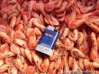 Креветка на корм для рыбок