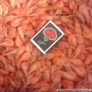 Креветка калиброванная крупная, мидии, рапаны, крабы