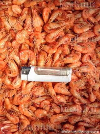 Сушеная черноморская креветка корм для рыб