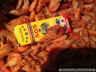 Креветка купить