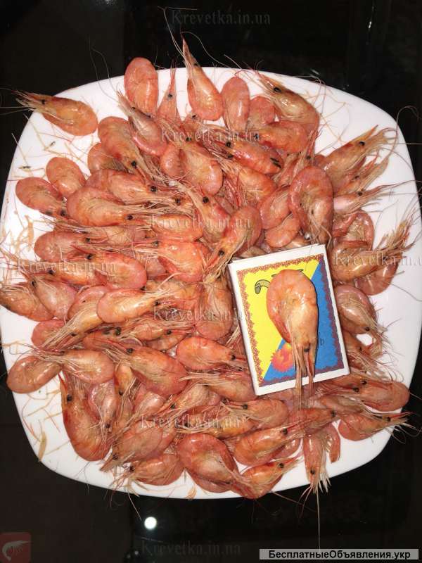 Креветки мидии