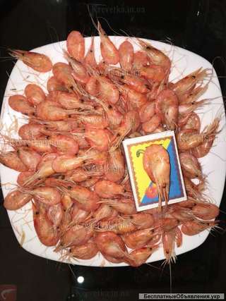 Креветки мидии