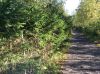 Участок