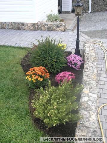 Посадка цветников