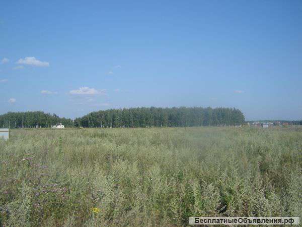 Земельный участок