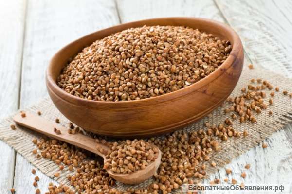 Крупу гречневую ГОСТ 5550-74 оптом от производителя со склада