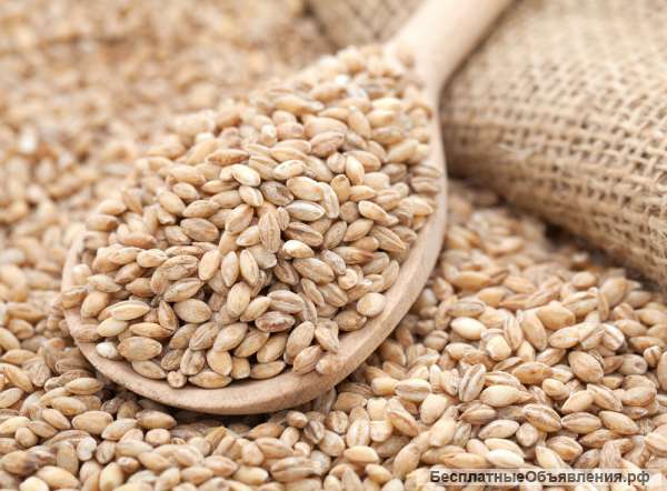 Перловую крупу