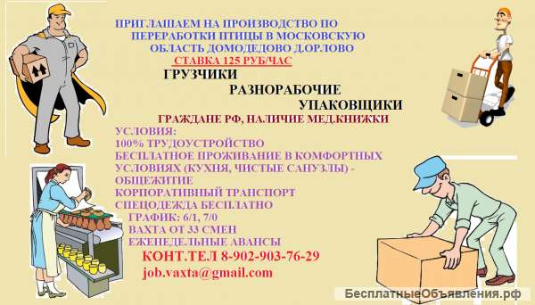 Грузчик, разнорабочие, упаковщики (ставка 125 руб/час)