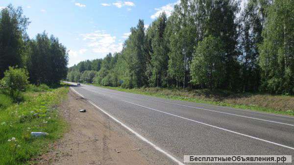 18,1 ГА в с. Большая Соснова Пермского края