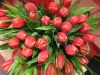 Великолепные тюльпаны к женскому празднику