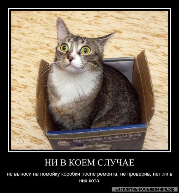 Все виды подсобных работ