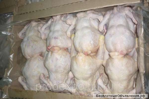 Мясо цыпленка бройлера оптом по цене производителя