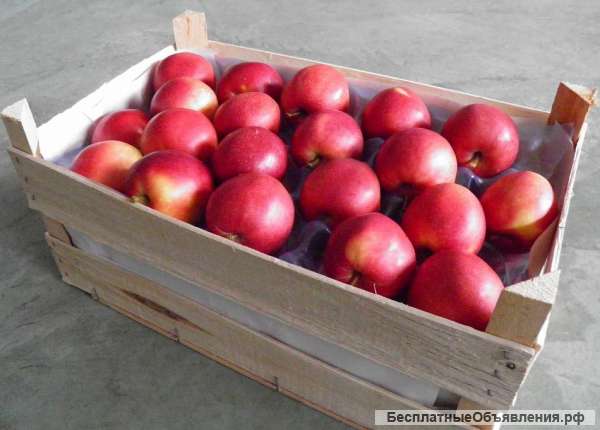 Яблоки калиброванные со склада