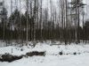 Участок 9 сот. (СНТ, ДНП)