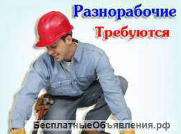 Услуги РАЗНОРАБОЧИХ