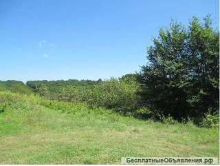 Земельный участок площадью 4 311 кв.м., Болгария, вблизи Горна Оряховица