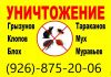 Уничтожение насекомых
