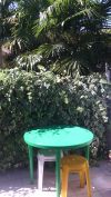 Недорогой, комфортный отдых у моря в Адлере