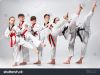 Taekwondo WT