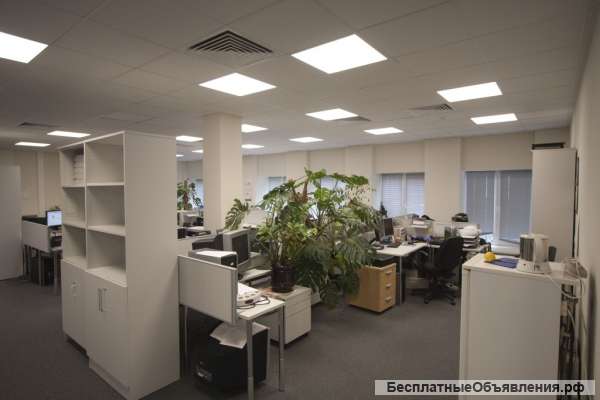 Офисное помещение 346,00 м2 класса B+ в Бизнес-центре (м.Белорусская)