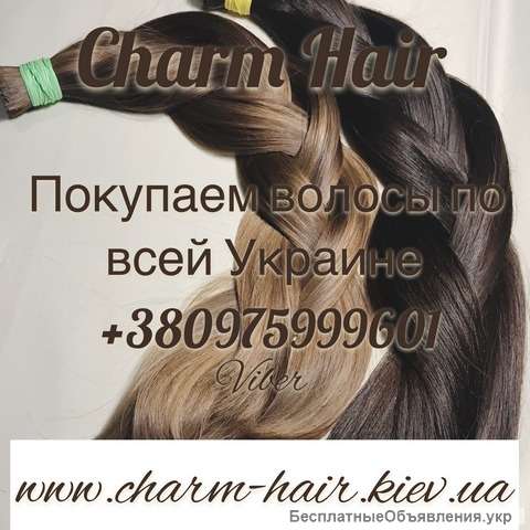 Волосы Киев, скупка волос Одесса, купим волосы Днепр, покупаем волосы Харьков, дорого, цена