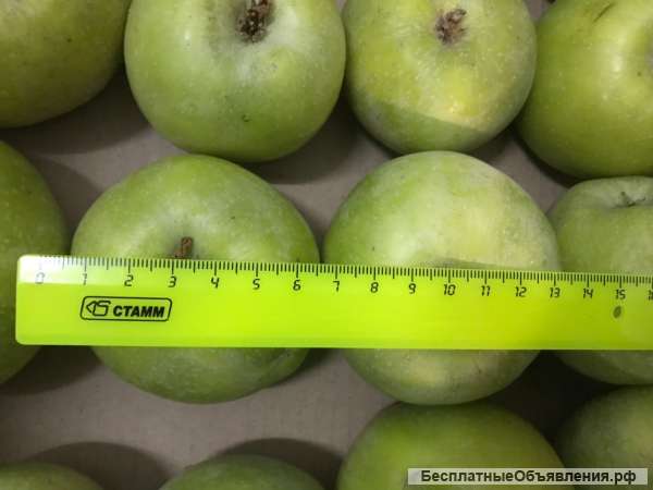 Яблоки из Краснодарского края оптом