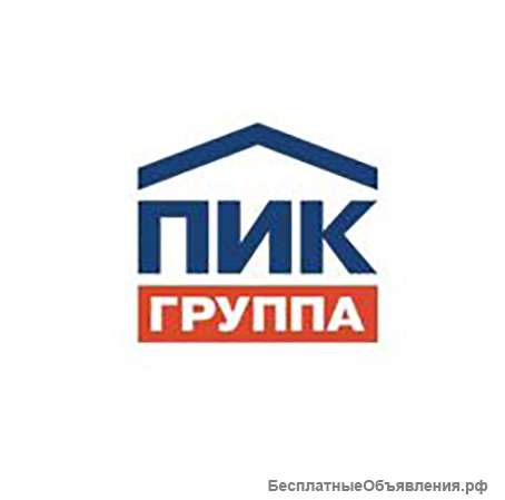Помощник руководителя