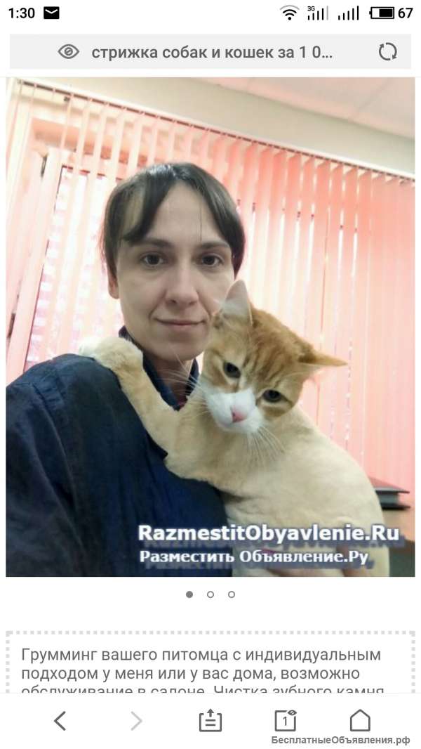 Стрижка собак